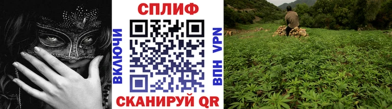 Где продают наркотики Тюкалинск ГАШИШ  Конопля  КОКАИН  Меф 
