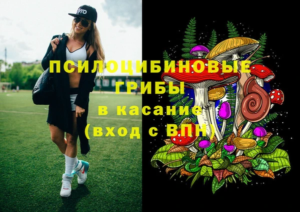 PSILOCYBIN Кулебаки