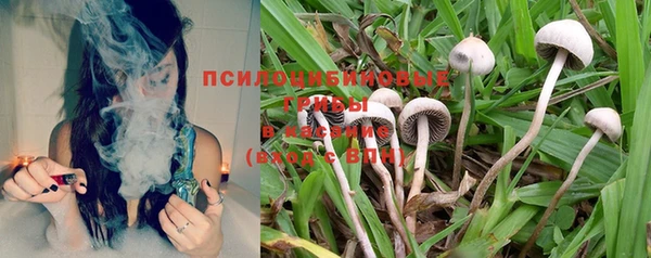 PSILOCYBIN Кулебаки