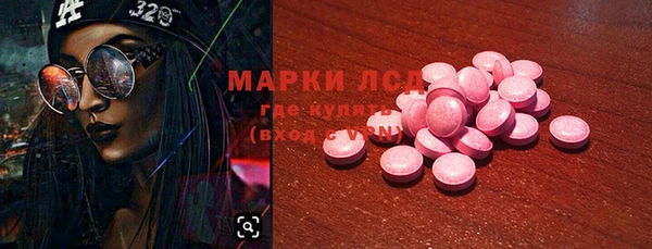 PSILOCYBIN Кулебаки