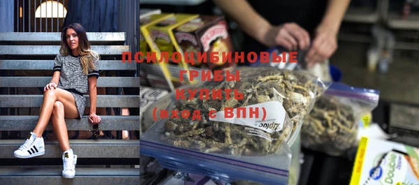 PSILOCYBIN Кулебаки