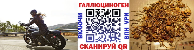 shop формула  Тюкалинск  Галлюциногенные грибы мицелий  купить наркоту 